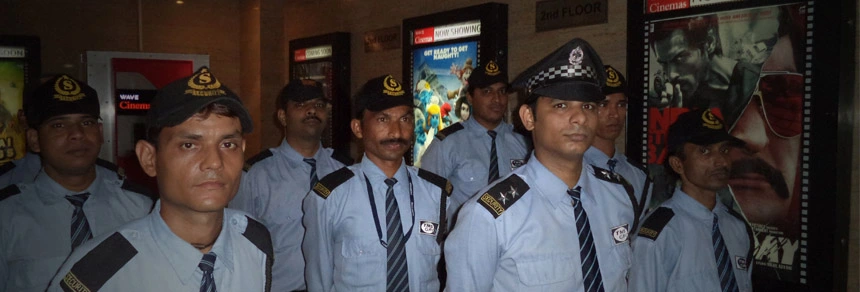 TMS Security Guard Team